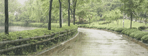 500_190gif 动态图 动图