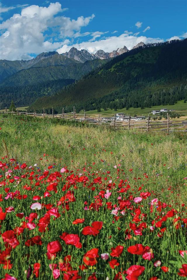 西藏春天旅行必去的10个地方!你去过几个?