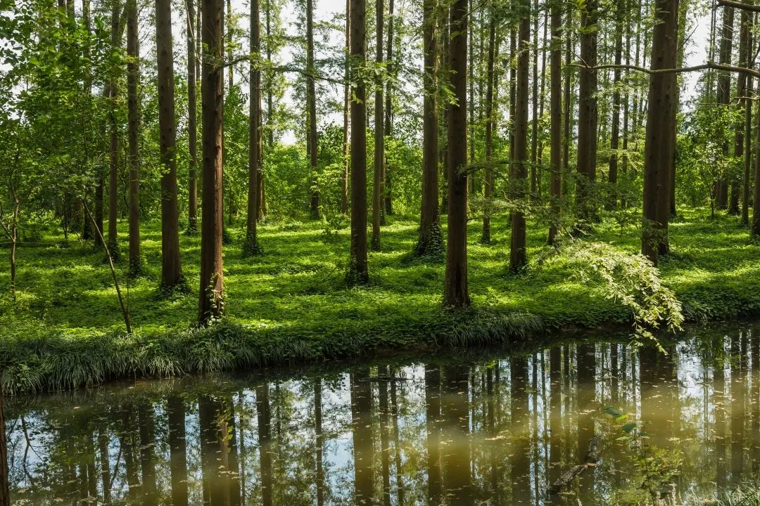 江苏藏着这些"秘境",你确定不来看看?