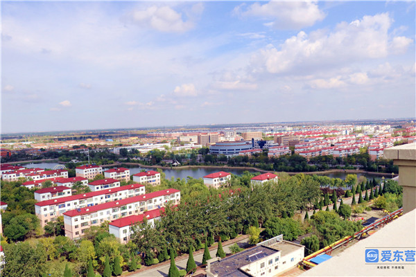 盘点2020|开启新征程 绘就新画卷 东营市多措并举持续改善民生