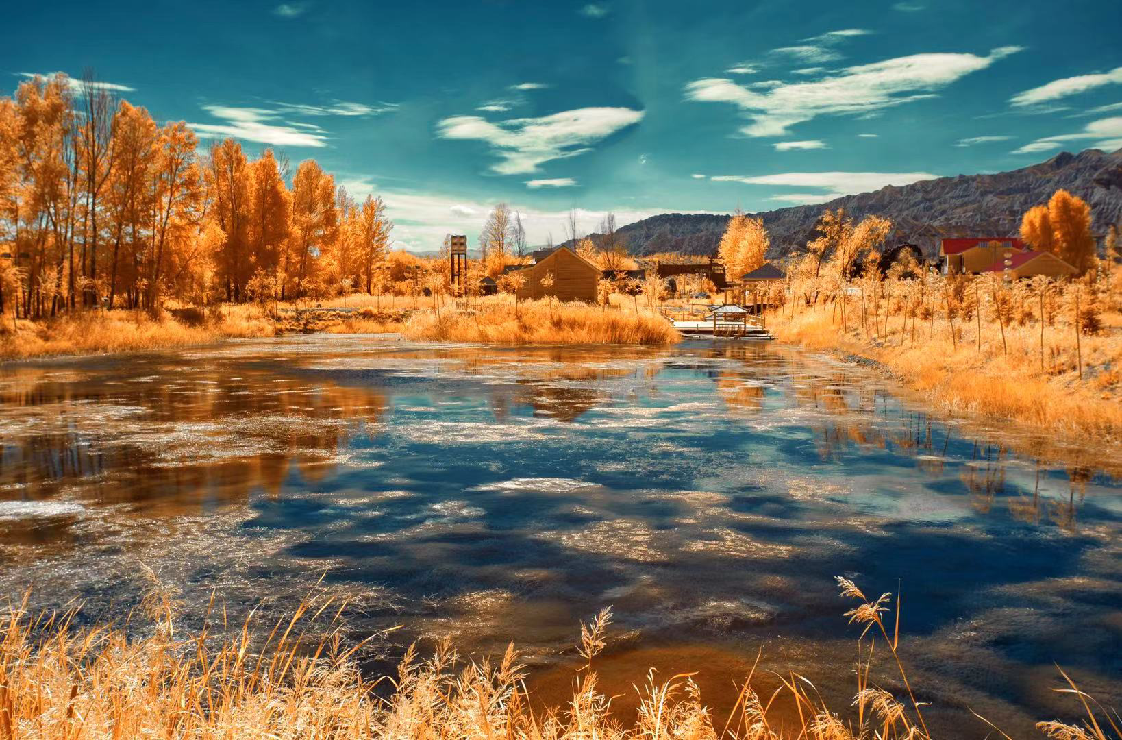 同生命 互相依"——镜观三江源"地球之肾"之美|高原|湿地|江河_新浪