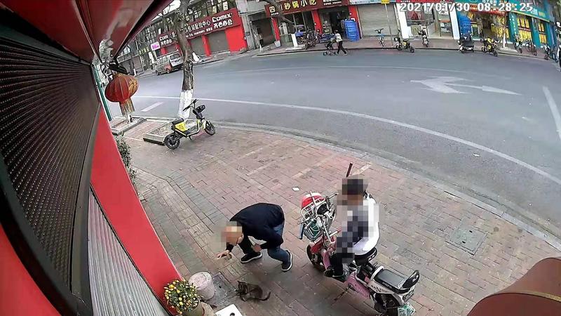 顺德一男子带着小孩两次当街虐猫,律师:已侵犯猫主财产权休闲区蓝鸢梦想 - Www.slyday.coM 顺德一男子带着小孩两次当街虐猫,律师:已侵犯猫主财产权休闲区蓝鸢梦想 - Www.slyday.coM