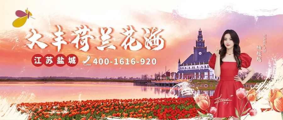 为家乡代言!杨超越任荷兰花海旅游形象推广大使!