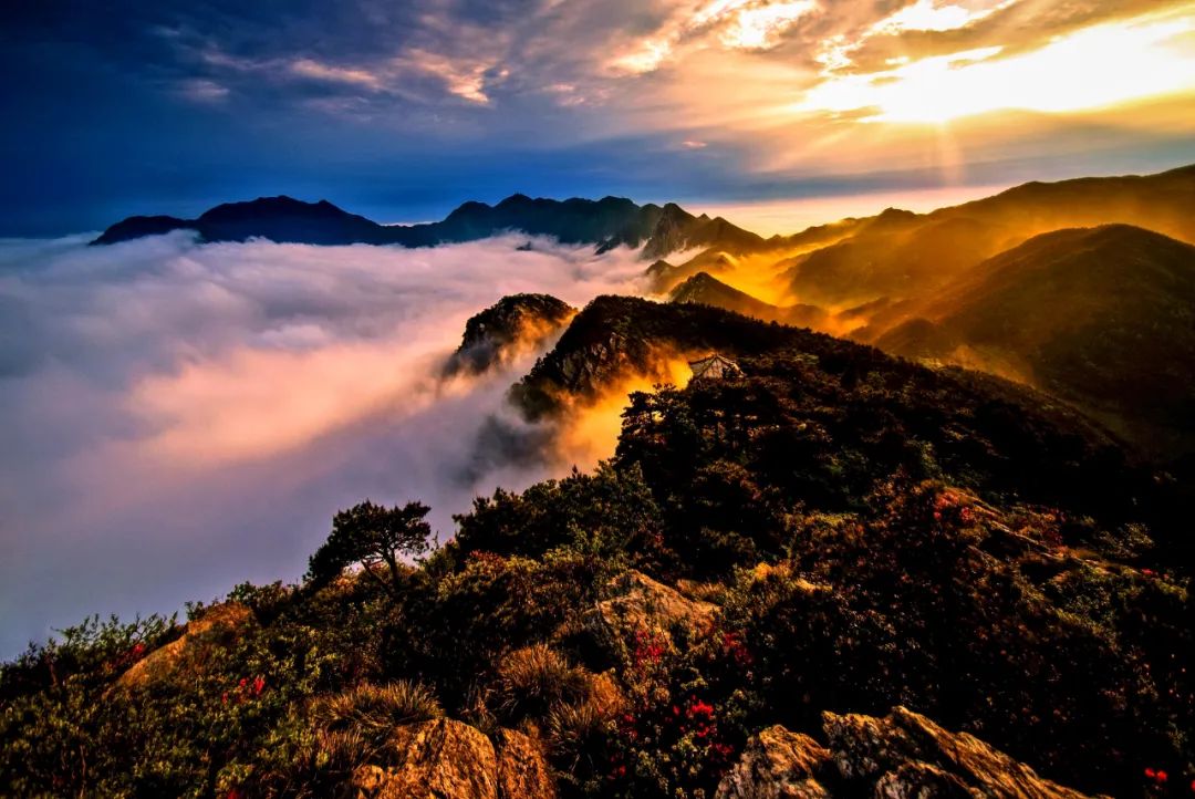 犇游江西·温暖过年丨公交,景区门票,体育场馆通通免费!九江春节留浔