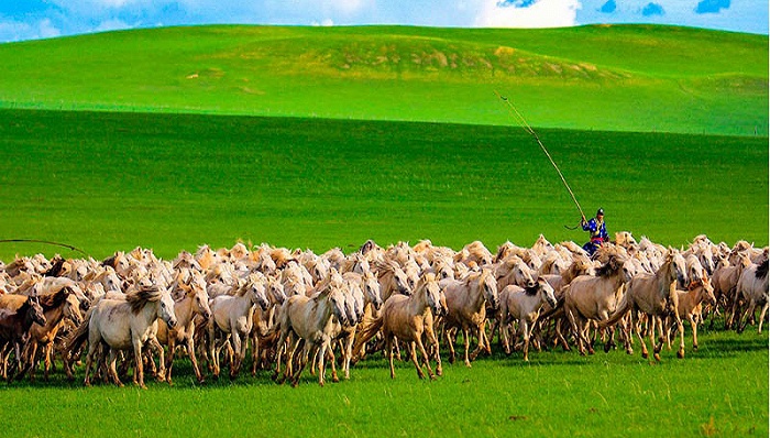 文旅快报 | 2021中国草原旅游发展大会暨中国·内蒙古国际文化旅游