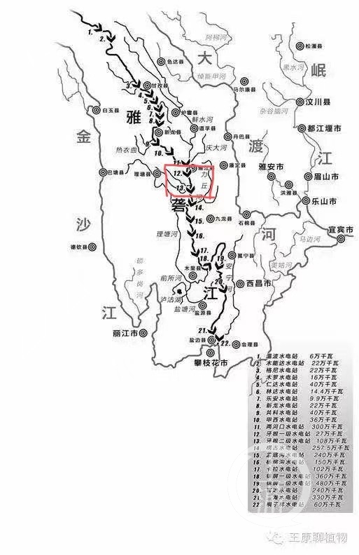 全国首例预防性公益诉讼案宣判180株濒危植物的生存应