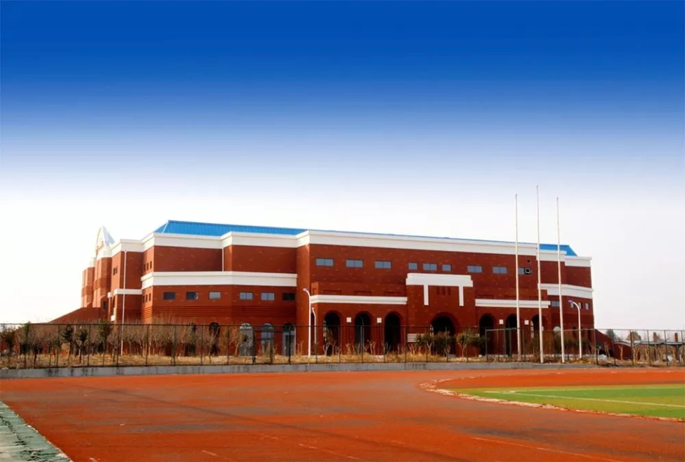 山东外国语职业学校(山东外国语职业学校档案官网)