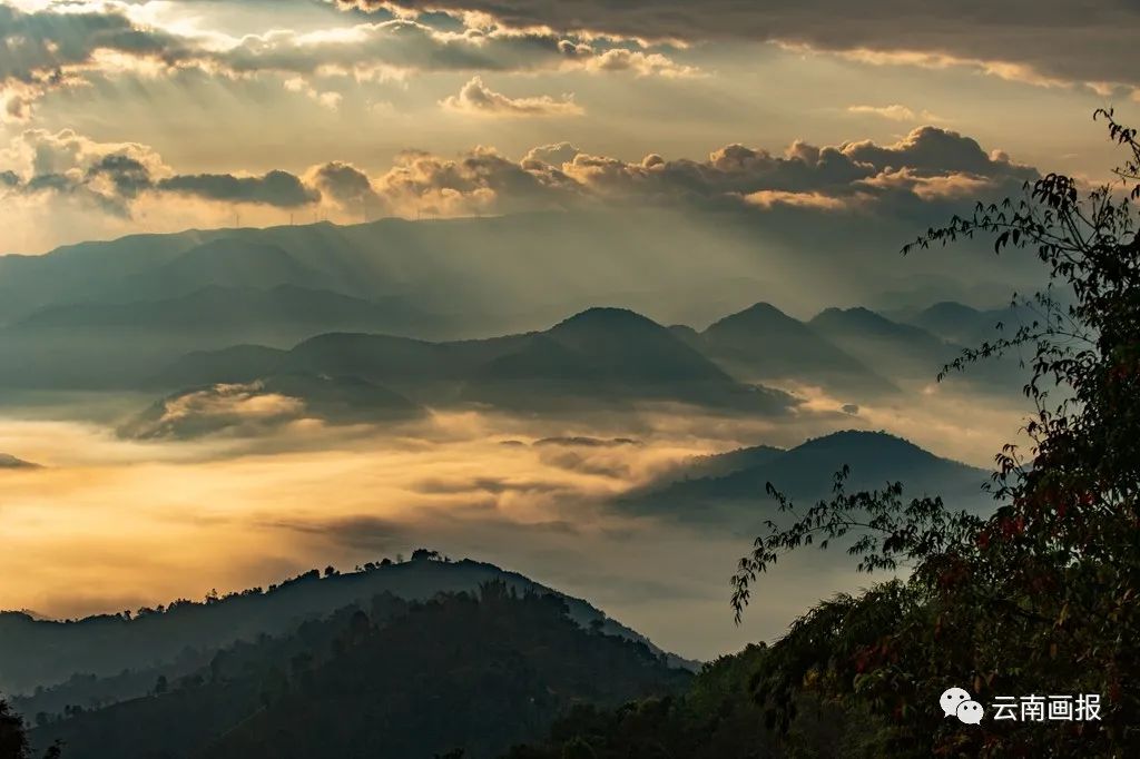 定了云南景迈山古茶林文化景观被国务院批准为中国2022年正式申遗项目