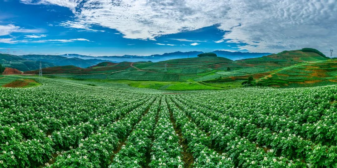 退歇职员基础养老金每月涨！全省定额调剂计划公布详情解析