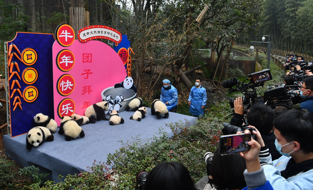 新闻搜索_新浪搜索_新浪网