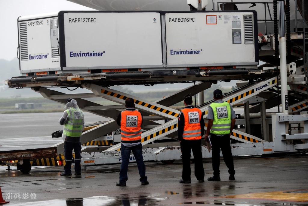 去年11月，首批克尔来福疫苗抵达巴西 澎湃影像