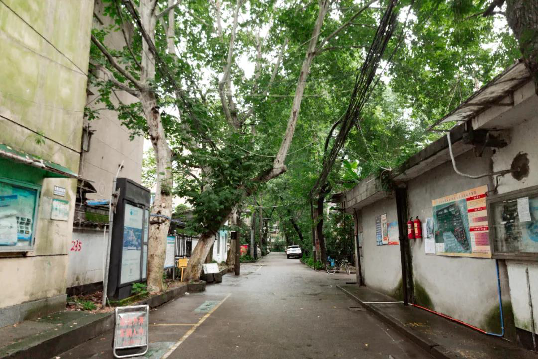 图为杭大新村入口处.新华社发(毛静雯摄)