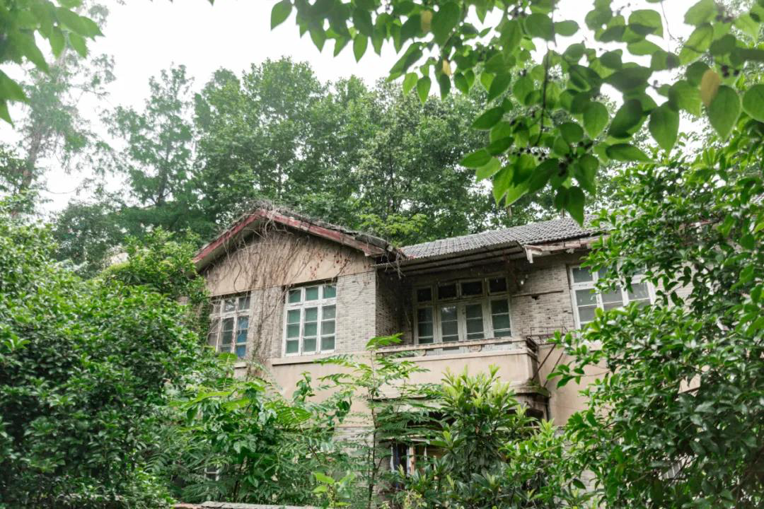 正文  图为杭大新村4幢,一楼为姜亮夫故居.