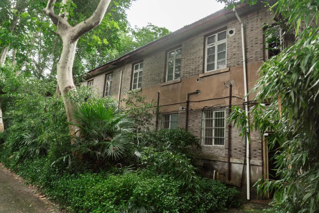 图为姜亮夫故居杭大新村4幢3号北面的入楼小径