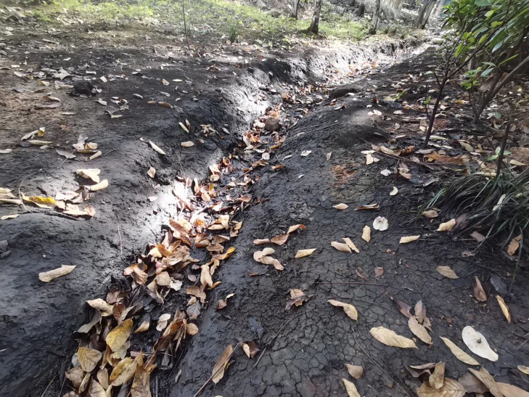 视频 100万吨 毒油 流去哪了 新浪财经 新浪网