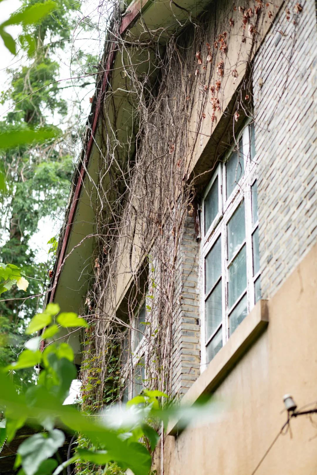 图为杭大新村一角.新华社发(毛静雯摄)