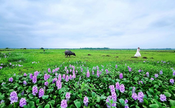 图片来源：海口市旅游和文化广电体育局