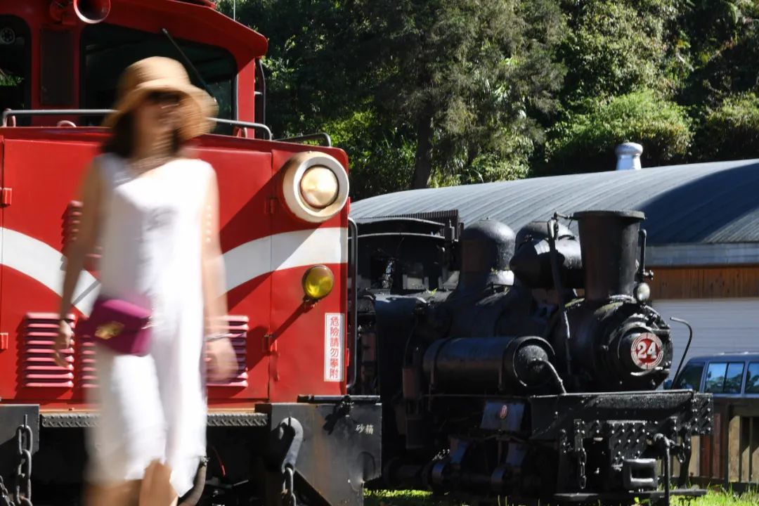  ▲资料图片：游客从阿里山森林小火车旁走过。（新华社）