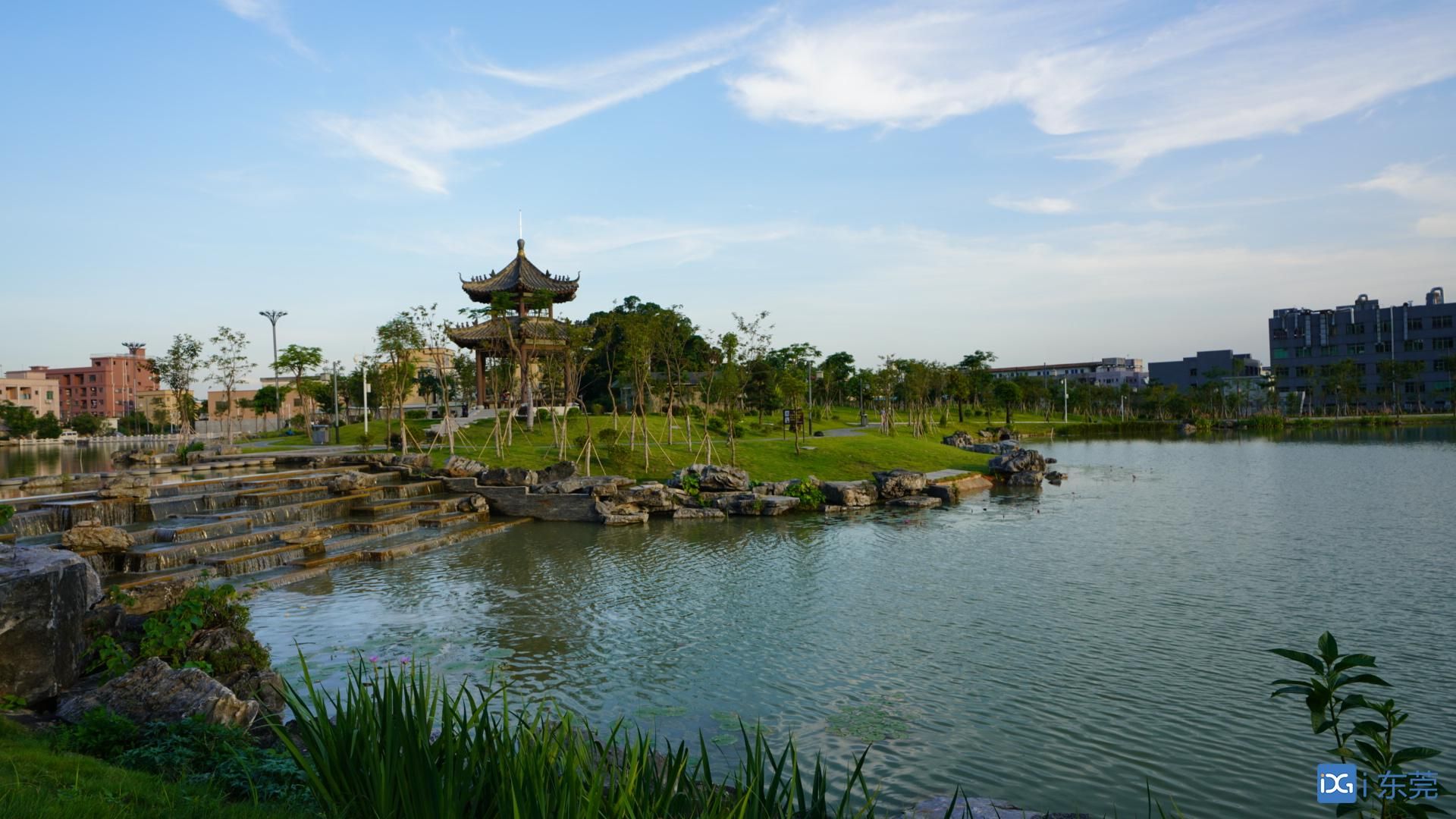 东莞两会·权威访谈丨石排:全力打造"智造新动能,风情新石排"|全媒体_