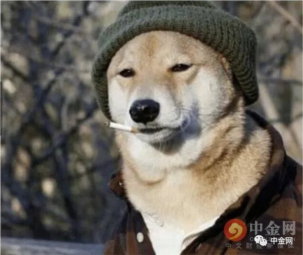 马斯克频频站台狗狗币 灰度基金为何对其毫无兴趣