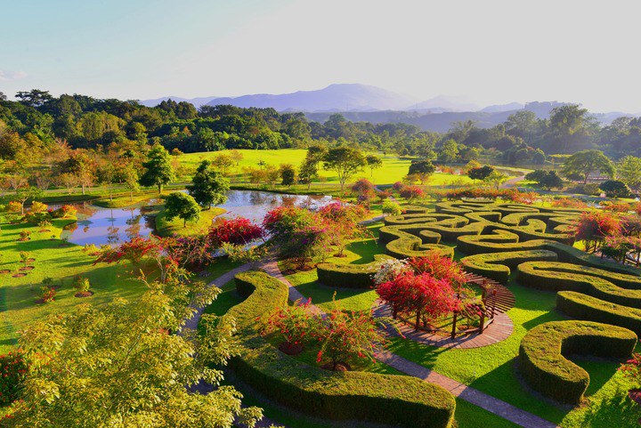 科技|国际化"科学岛":西双版纳热带植物园