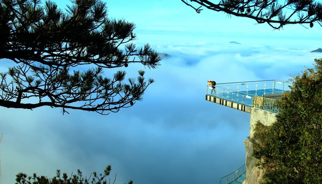 福建景区拜年丨华南虎的故乡古田梅花山文旅康养试验区提前来给大家