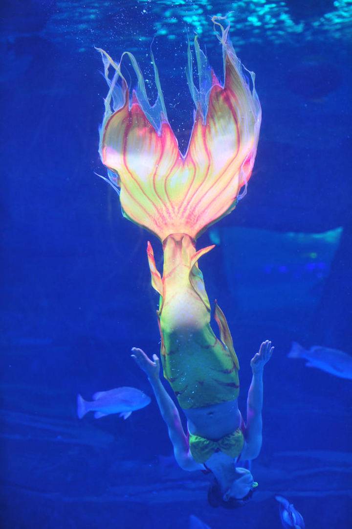 一段关于人鱼的绮丽传说精彩的美人鱼表演