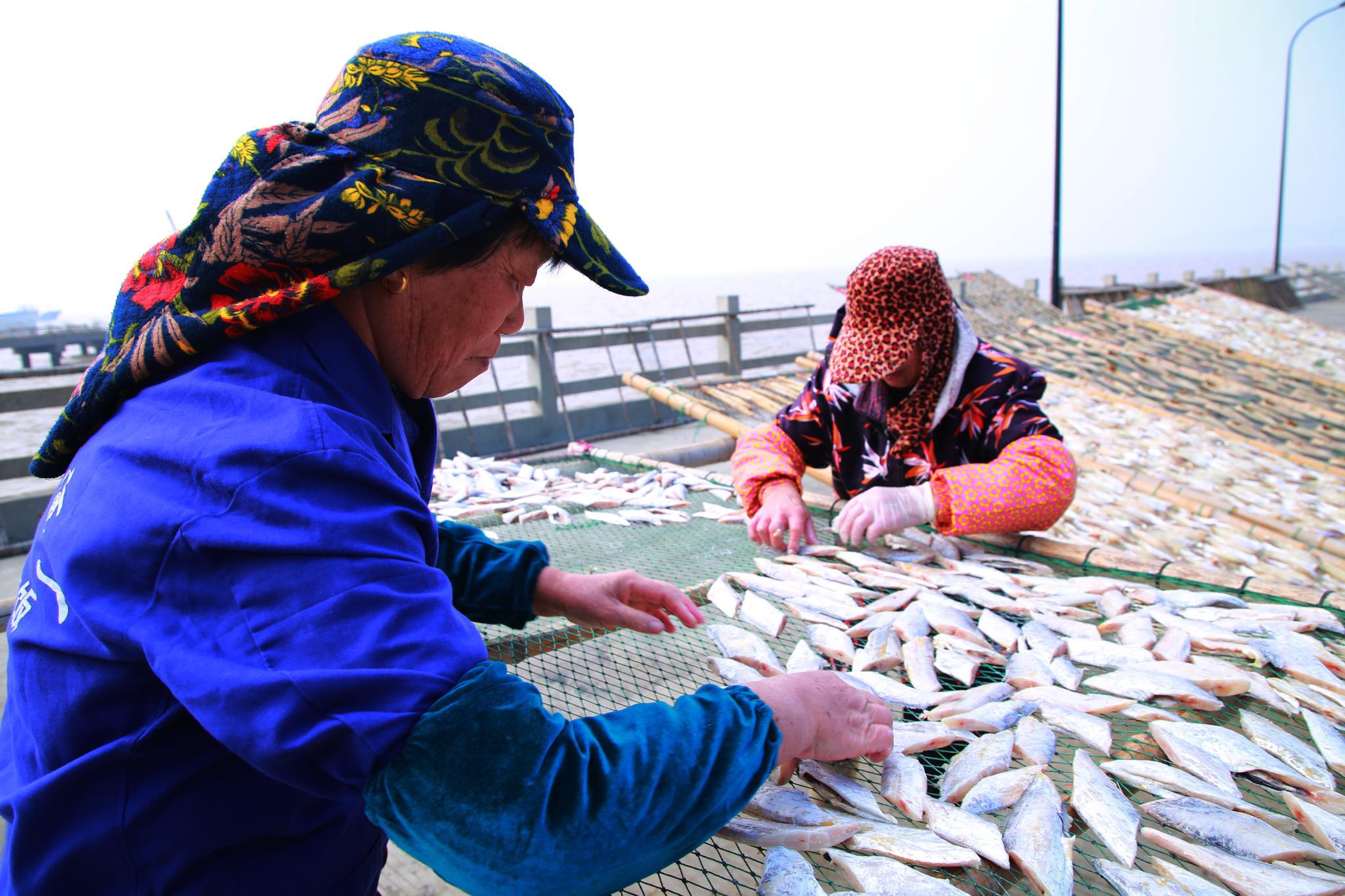 玉环:晾晒鱼鲞过大年