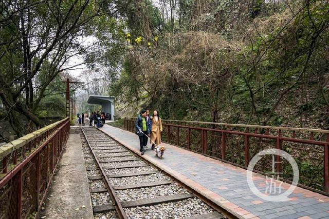 上游影像·摄影师黄进 | 春节打卡好去处 川外小铁路焕发新生机