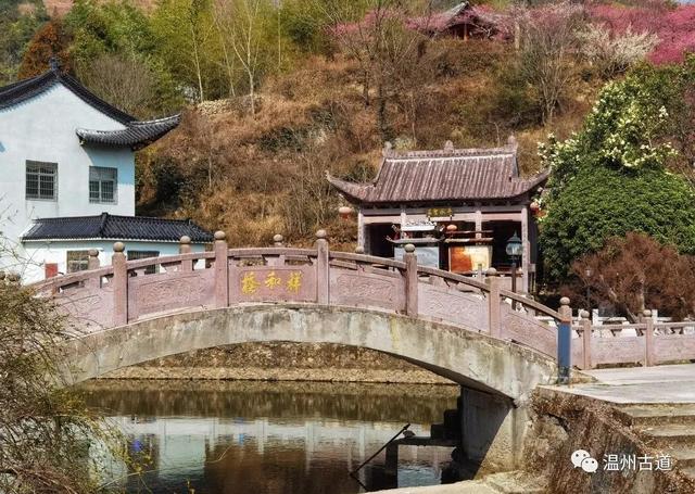 村,快来绝美的梅岙村观赏醉美梅园,错过待来年|梅园|赏梅|永嘉_新浪