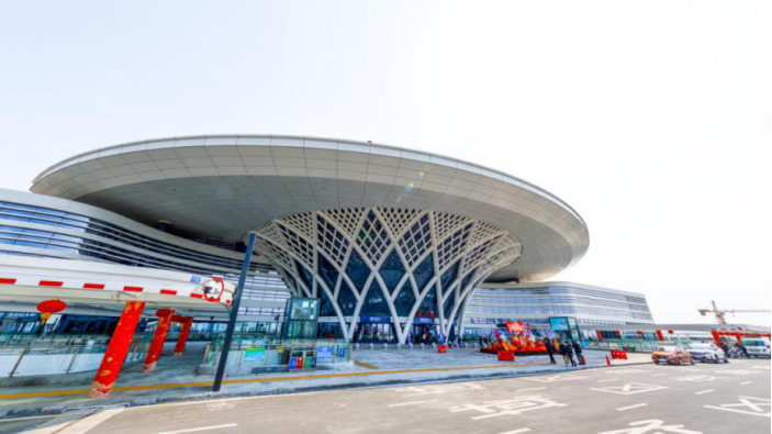 新春走基层 |守护"生命之树"的 "明星"团队|江门|春运_新浪新闻