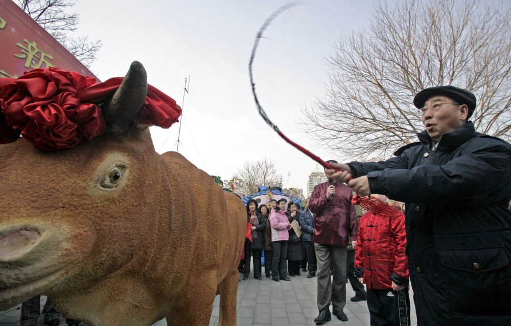 ▲市民在北京古观象台体验“鞭春牛”：用柳条制作的鞭子鞭打道具牛