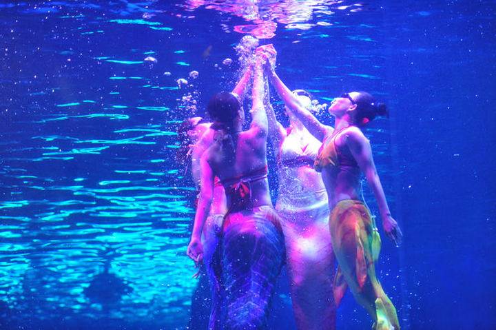 一段关于人鱼的绮丽传说精彩的美人鱼表演