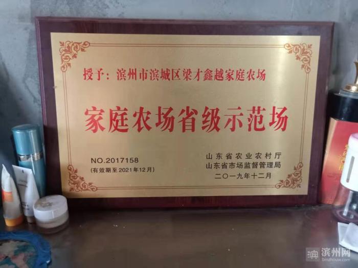 【新春走基层】梁才街道家庭农场春节期间采摘游玩忙|梁才街道|大棚