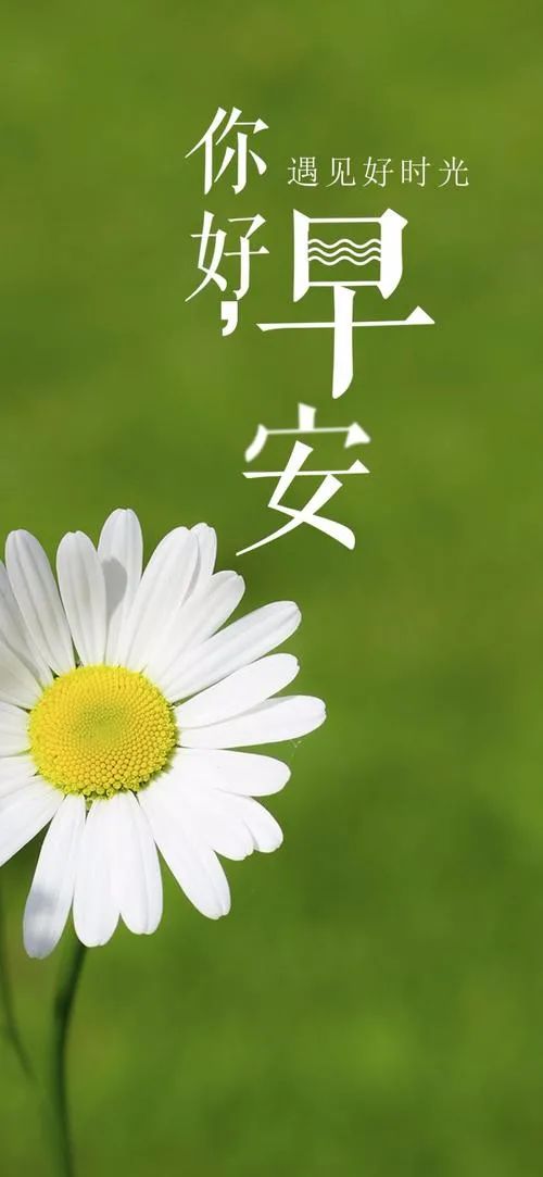 早安心语正能量走心语录说说唯美早上好图片正能量励志