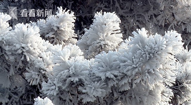雾,凇再满江城|松花江_新浪新闻