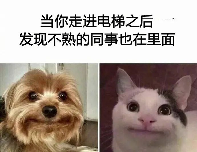 真实打工人沙雕梗图请停止偷窥我的生活