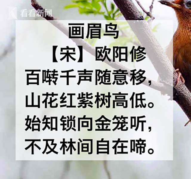 漫话诗词古代就有生在金笼却憧憬野林的文学