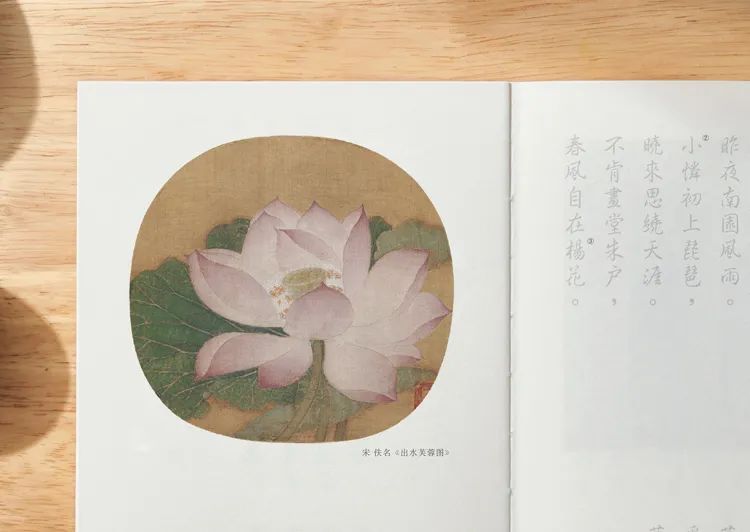 南宋吴炳《出水芙蓉图》,现收藏于北京故宫博物院