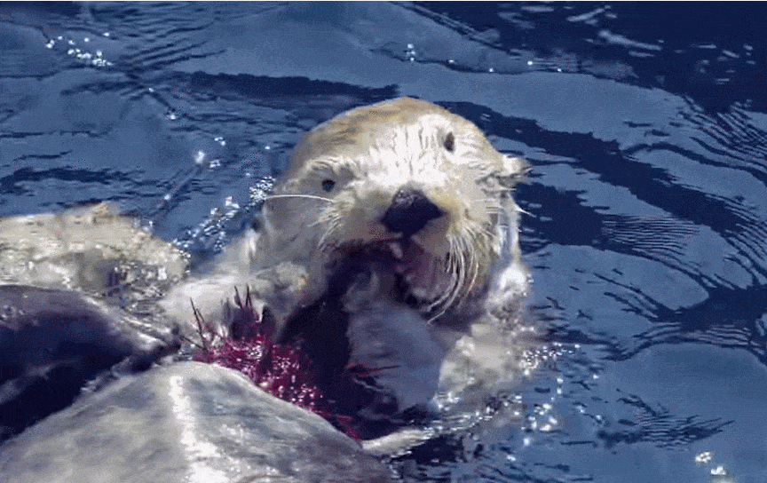 864_544gif 动态图 动图