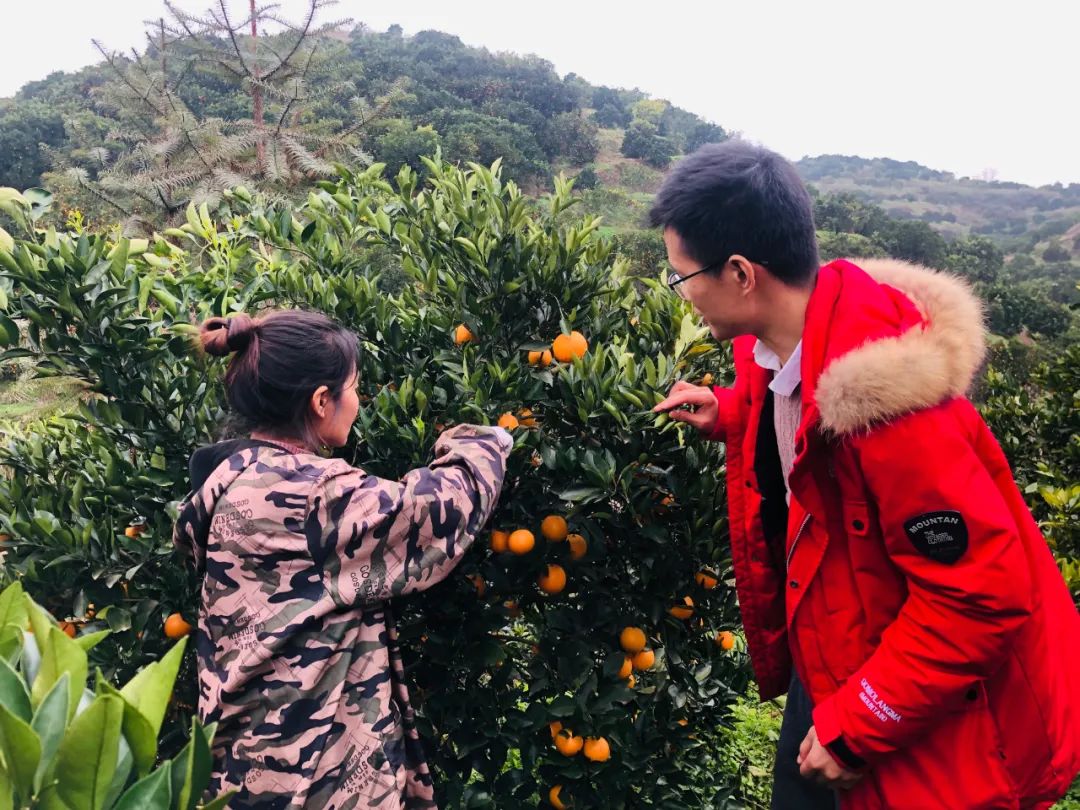 返乡不务农，这些“新农人”都干了啥？