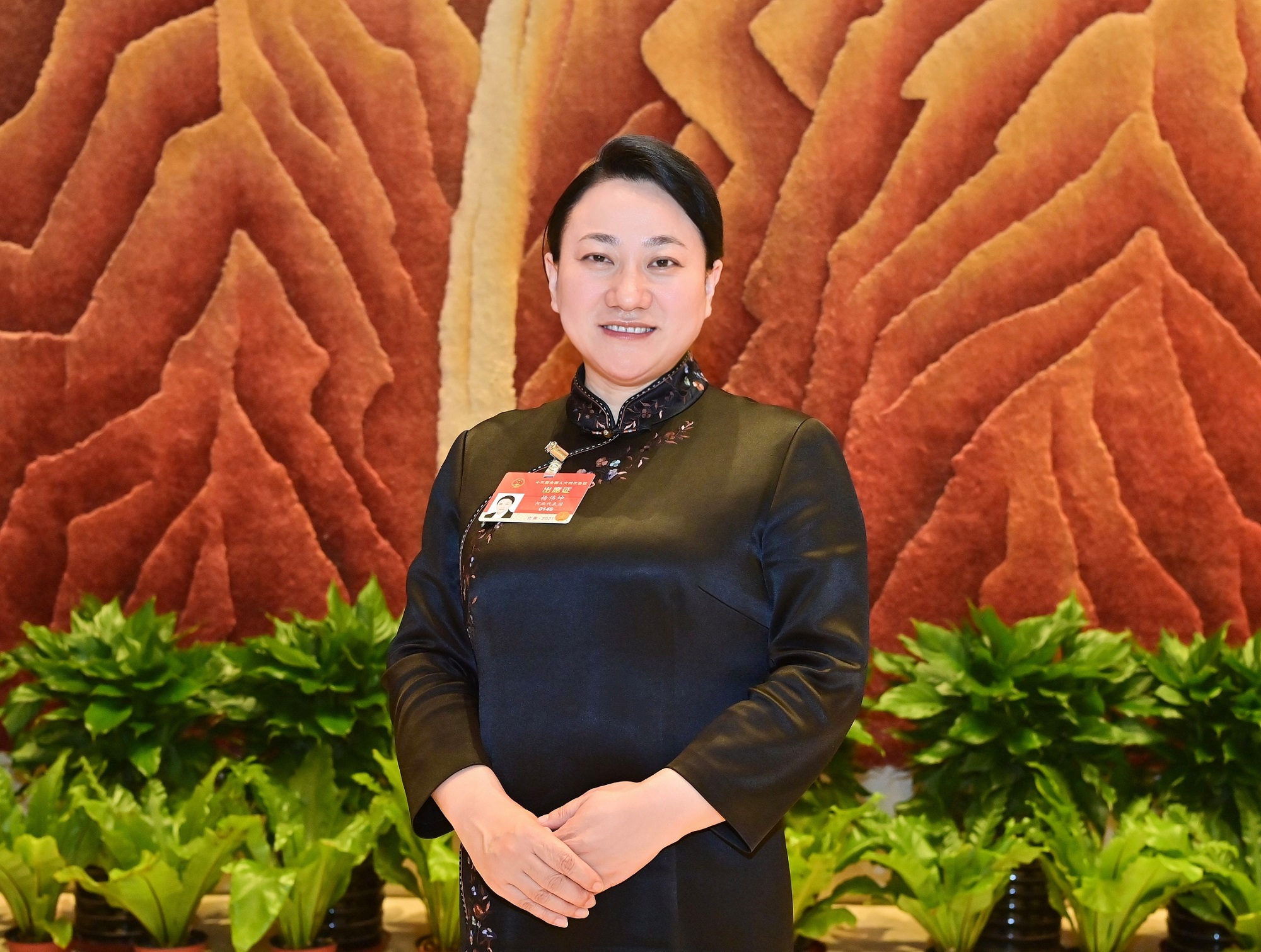 杨伟坤代表切实维护群众获得感