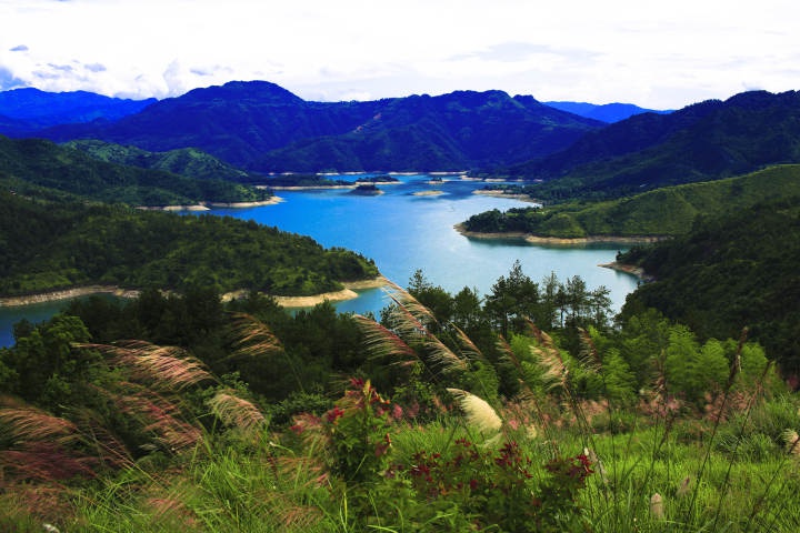 数字化综合监管水库水质一张地图管牢温州大水缸