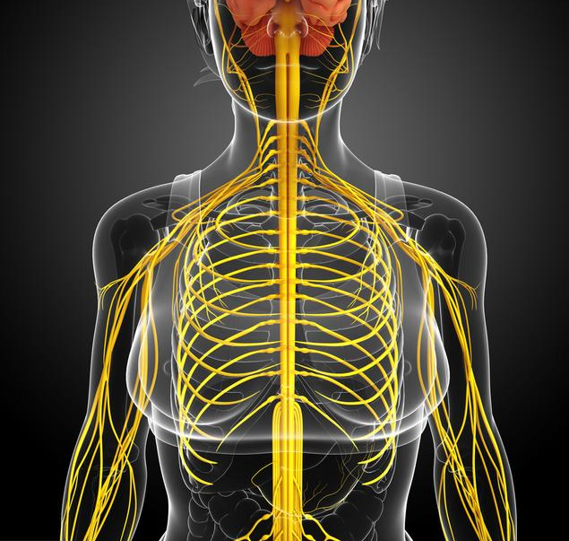 不过手术治疗颈椎病存在很高的风险,第一是因为椎体附近神经丰富,一旦