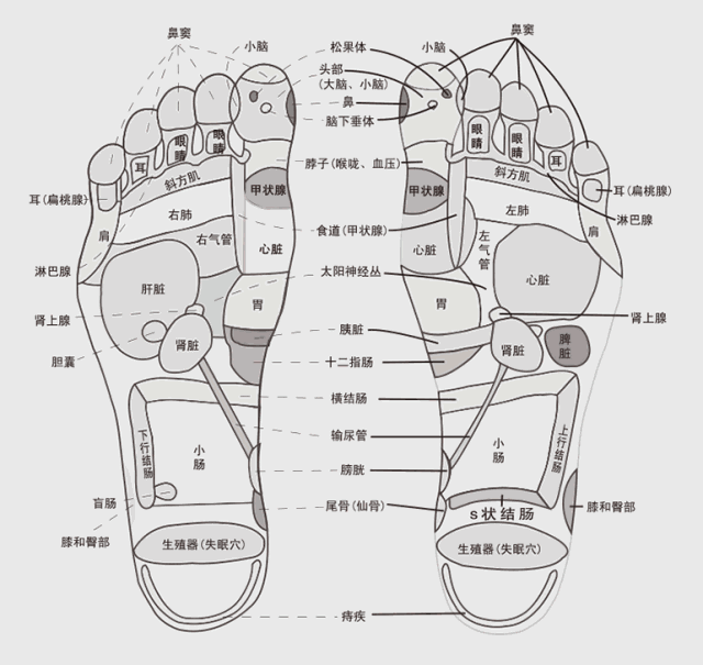 深到可以泡小腿的德国足浴桶还能全自动按摩一泡上瘾 檀生活 财经头条