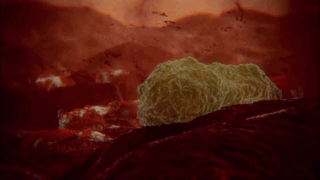 320_180gif 动态图 动图