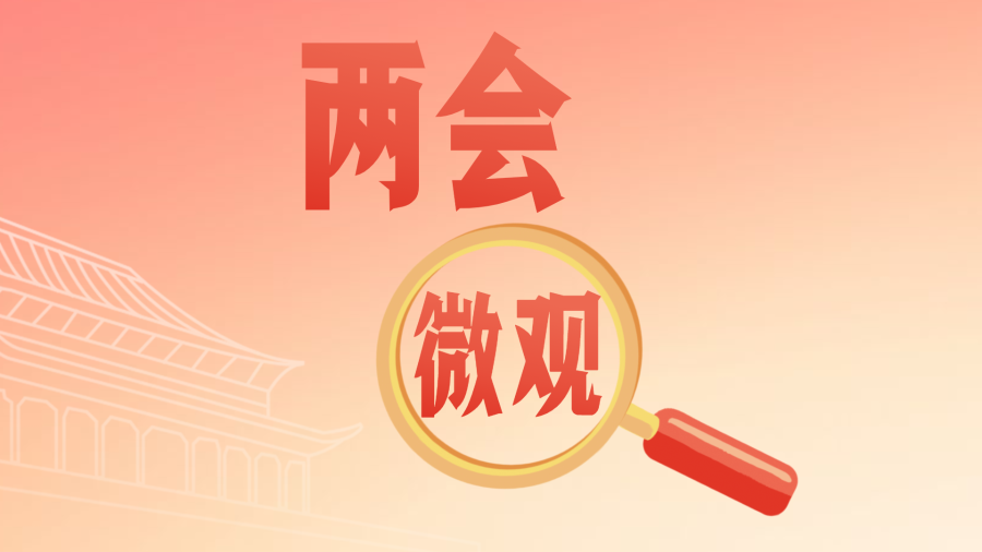 两会微观｜代表通道，为啥基层全员C位？