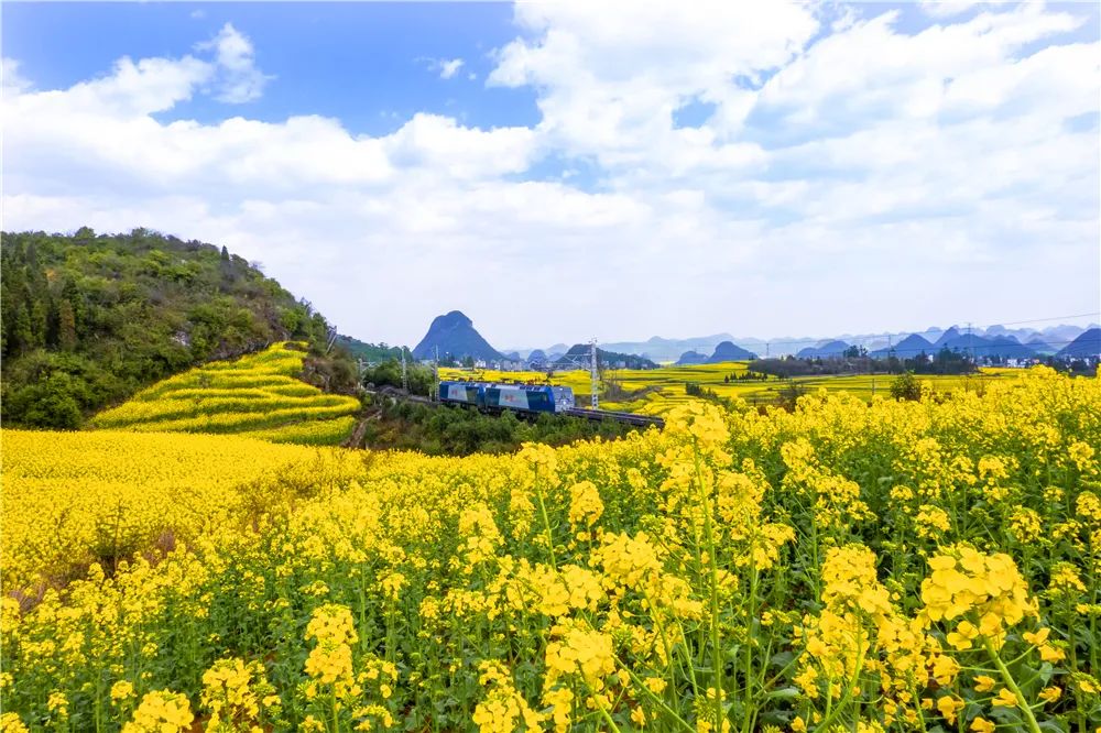 视界 开往春天花海的列车 来咯 手机新浪网 视界 开往春天花海的列车 来咯 手机新浪网