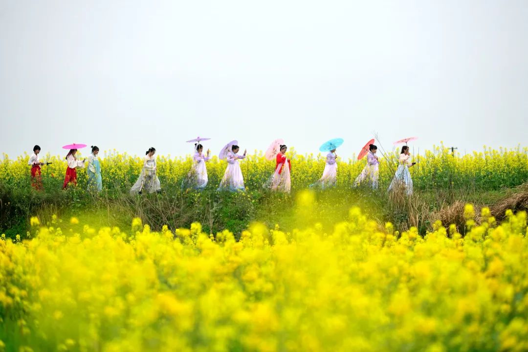 赶紧收藏这份踏青出游攻略带你心花怒放