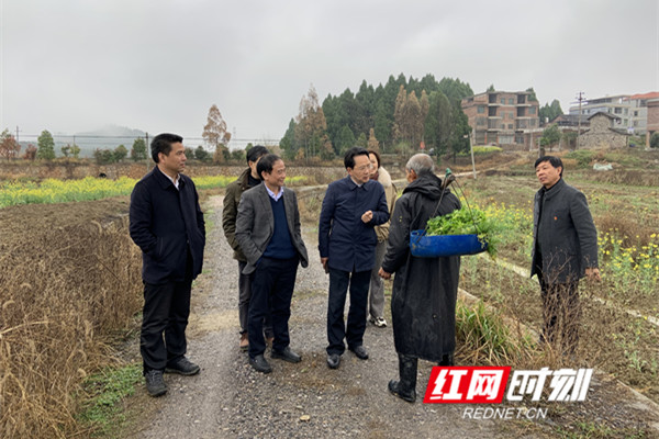 永州丨周益志深入县区督查早稻生产工作